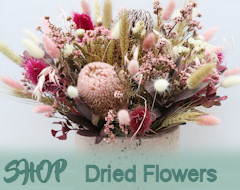 Shop For Dried Flowers